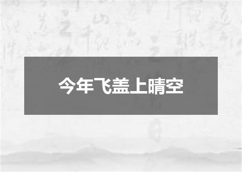今年飞盖上晴空