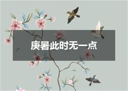 庚暑此时无一点