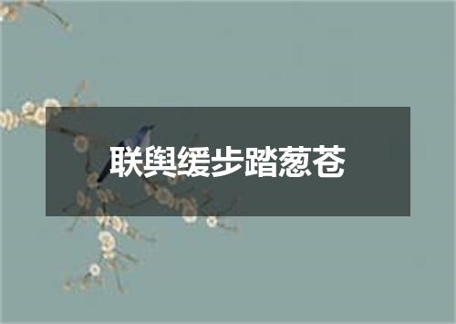 联舆缓步踏葱苍