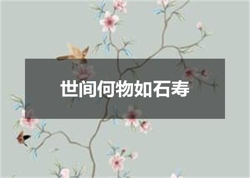 世间何物如石寿