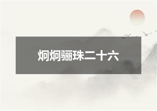 炯炯骊珠二十六