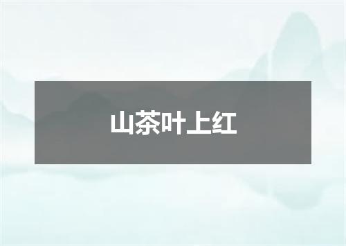 山茶叶上红
