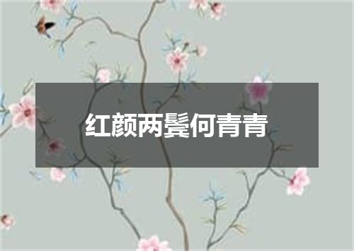 红颜两鬓何青青