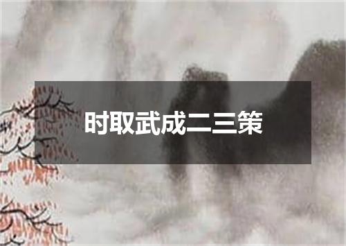 时取武成二三策