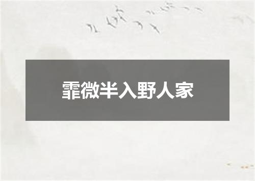 霏微半入野人家