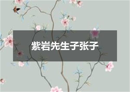 紫岩先生子张子