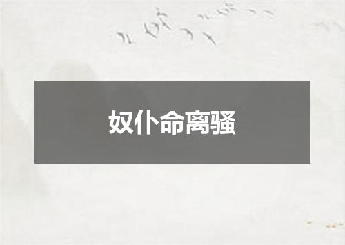 奴仆命离骚