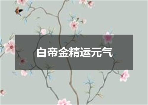 白帝金精运元气