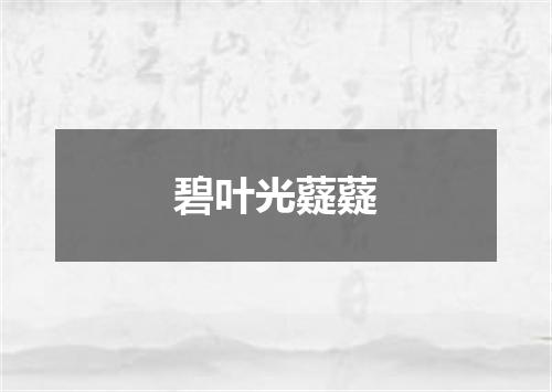 碧叶光薿薿