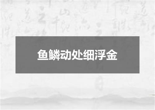 鱼鳞动处细浮金