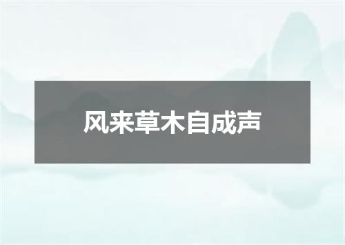 风来草木自成声
