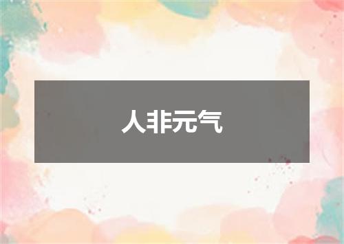 人非元气