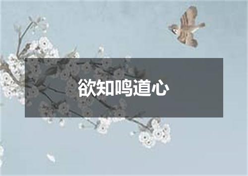 欲知鸣道心