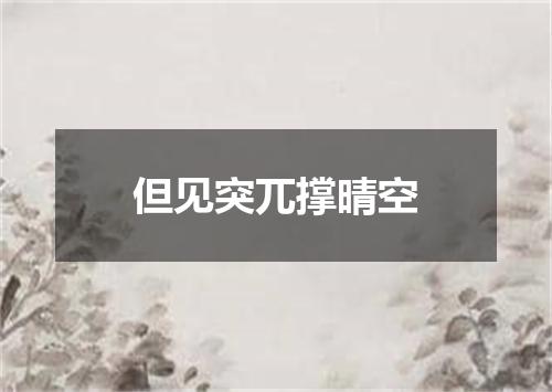 但见突兀撑晴空