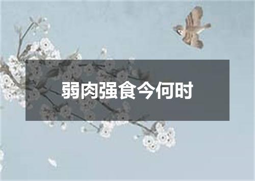 弱肉强食今何时