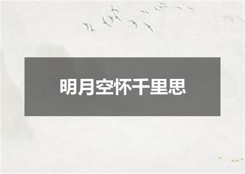 明月空怀千里思