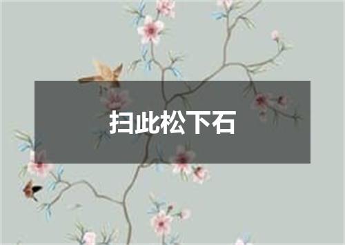 扫此松下石
