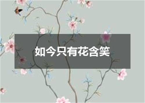 如今只有花含笑