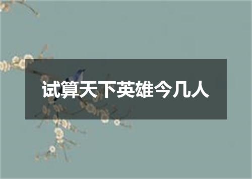 试算天下英雄今几人