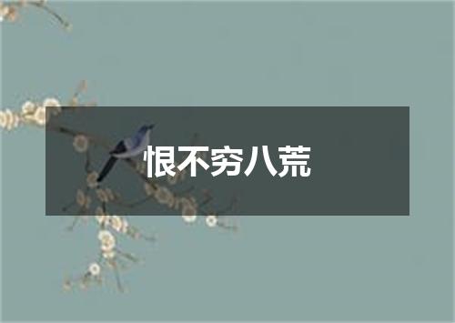 恨不穷八荒