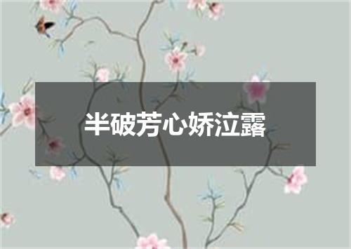 半破芳心娇泣露