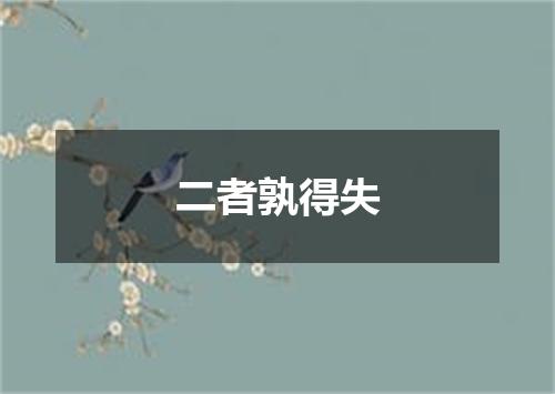 二者孰得失