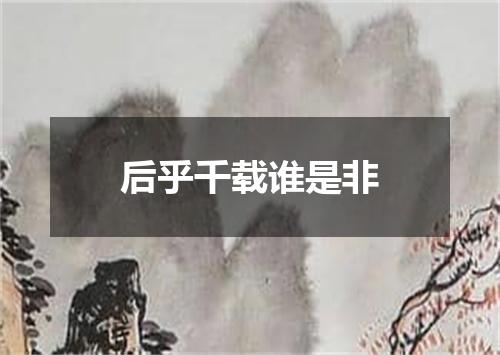 后乎千载谁是非