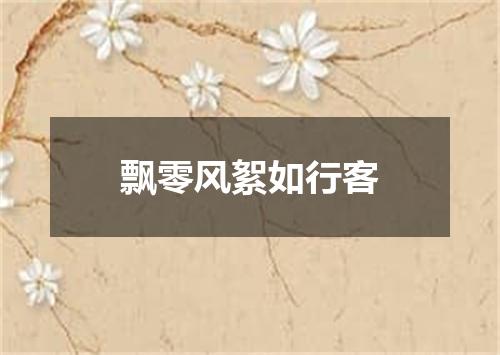 飘零风絮如行客