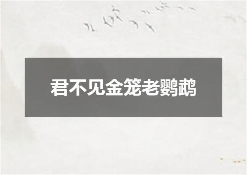 君不见金笼老鹦鹉