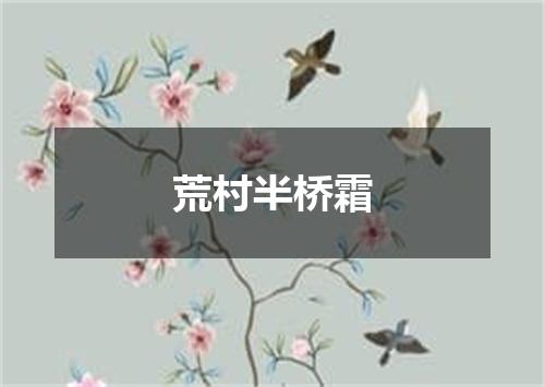 荒村半桥霜