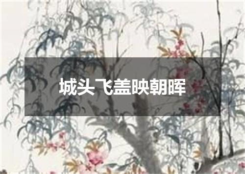 城头飞盖映朝晖