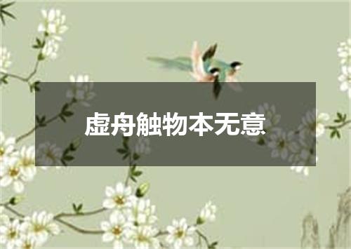 虚舟触物本无意