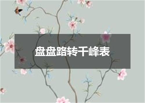 盘盘路转千峰表