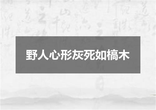 野人心形灰死如槁木