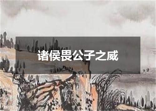 诸侯畏公子之威