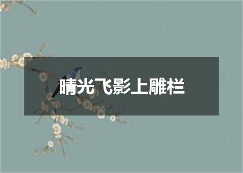 晴光飞影上雕栏