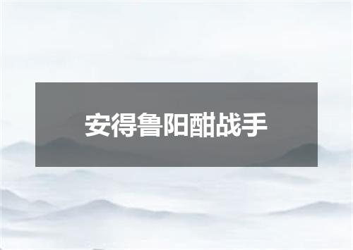 安得鲁阳酣战手