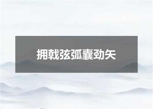 拥戟弦弧囊劲矢