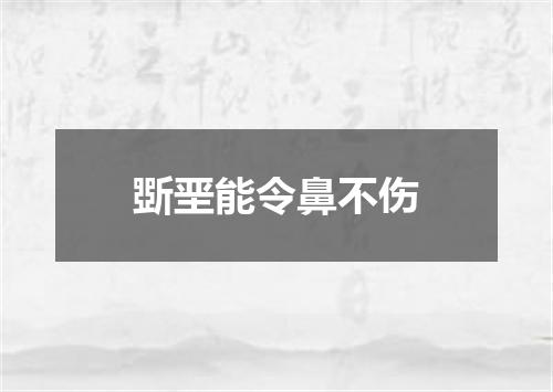 斲垩能令鼻不伤