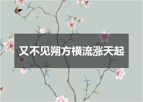 又不见朔方横流涨天起