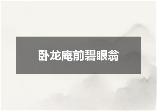 卧龙庵前碧眼翁