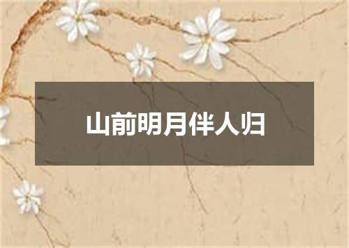 山前明月伴人归