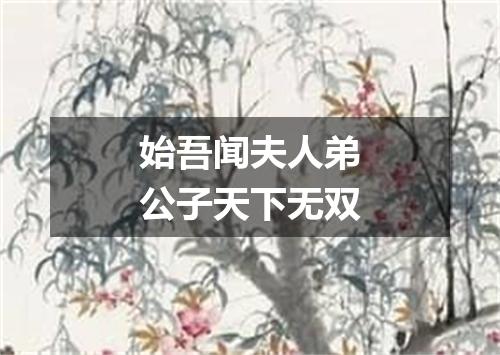 始吾闻夫人弟公子天下无双