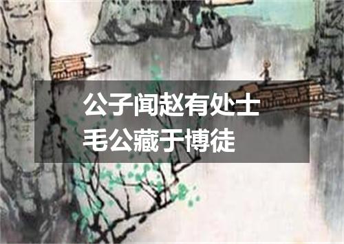 公子闻赵有处士毛公藏于博徒