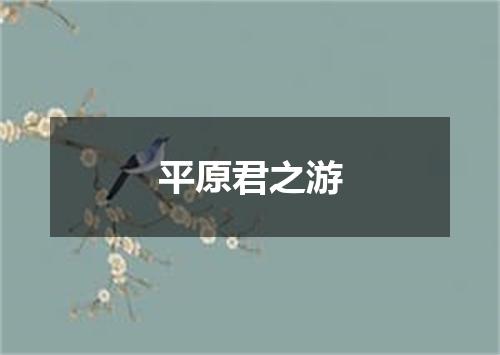 平原君之游