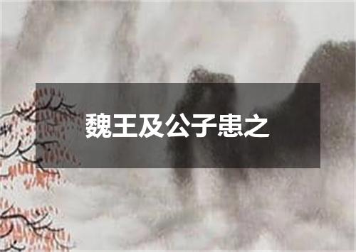 魏王及公子患之