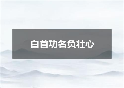 白首功名负壮心