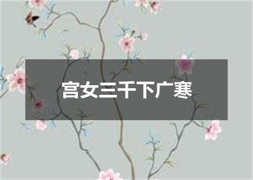 宫女三千下广寒