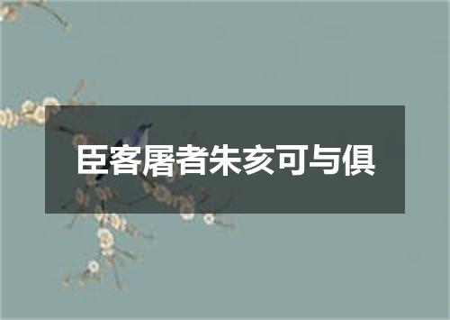 臣客屠者朱亥可与俱