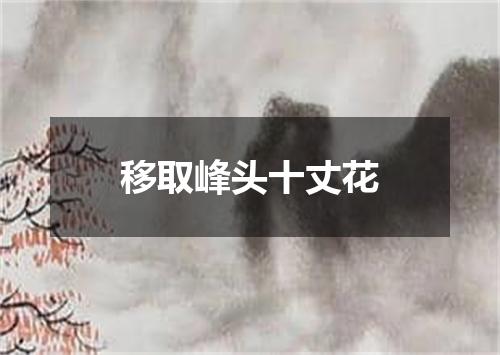 移取峰头十丈花